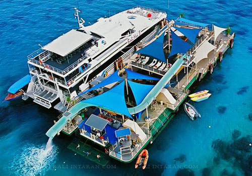 bali reef cruise