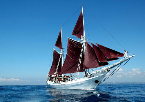 Komodo - Bali Cruise