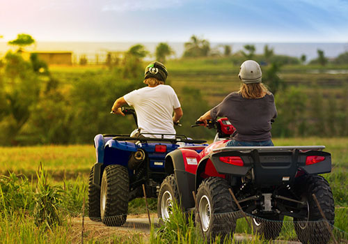 Riding Along Ricefield
